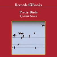 Pretty_Birds